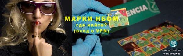 альфа пвп Новокубанск