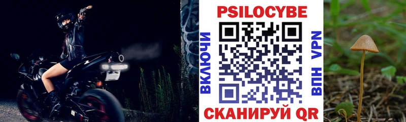 Псилоцибиновые грибы Psilocybine cubensis  Холмск 
