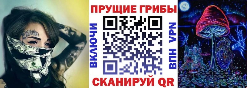 Псилоцибиновые грибы мицелий Холмск